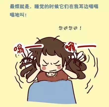 更可恨的是夏天蚊子严重滋生,打死一只又来一只,吵得让人睡不着觉!